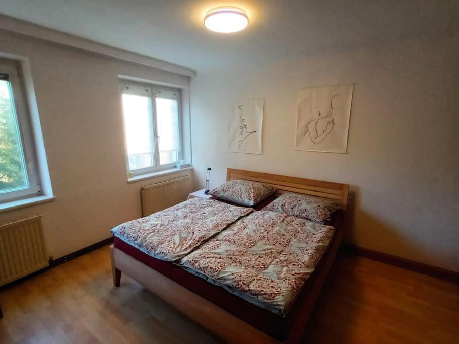 Modernes Apartment In Wien Ngoại thất bức ảnh
